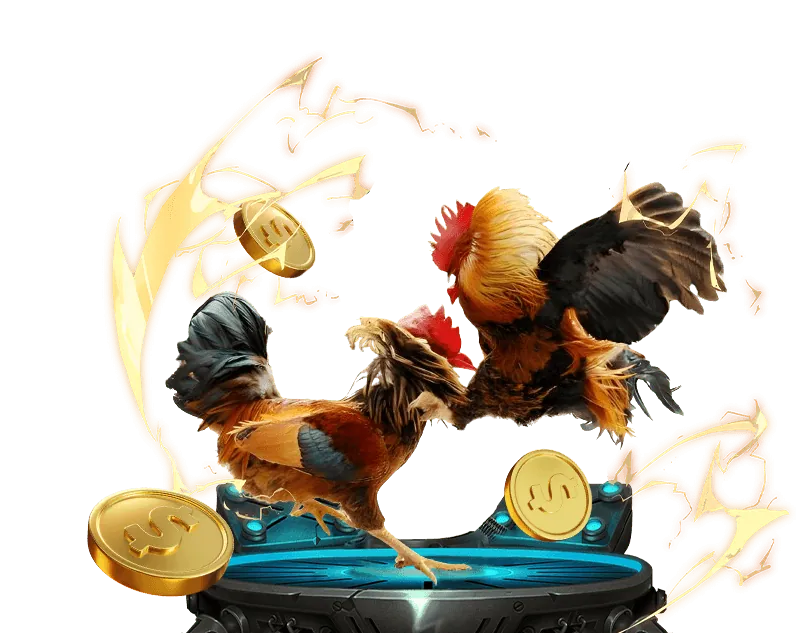 Tổng quan về đá gà m88 win